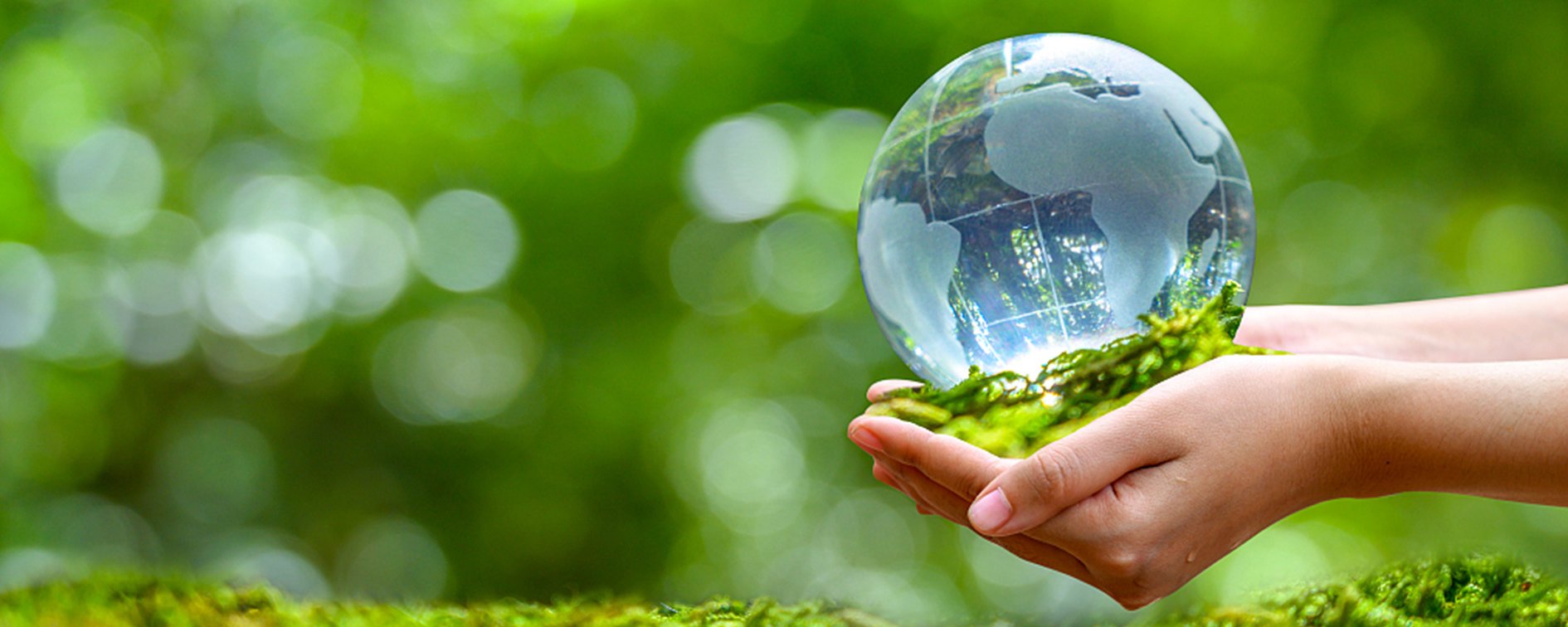 Protecting Our Environment, A Multifaceted Approach